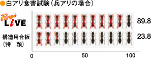 白蟻食害試験（兵アリの場合）